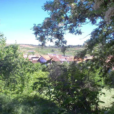 דירה El Dragon Serrano